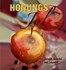 Honungsjul